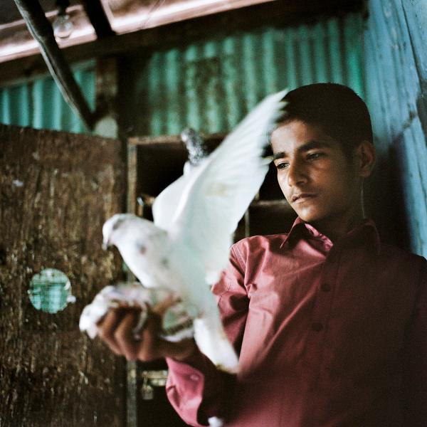 The city we build – The shape of density