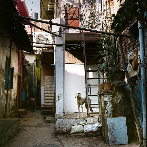 The-city-we-build_029