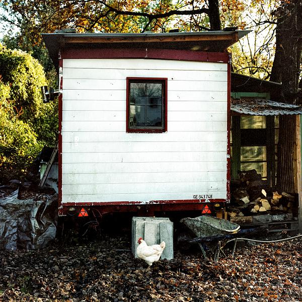 2002 – Genève : Squats