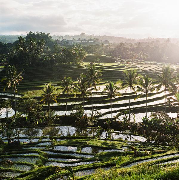 08.2014_ Bali (Indonesia): Bali, a hollow portrait