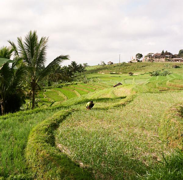 08.2014_ Bali, a hollow portrait