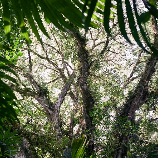 08.2014_ Bali, a hollow portrait